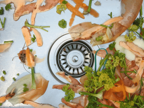 Don’t Put Thanksgiving Leftovers Down Your Disposal
