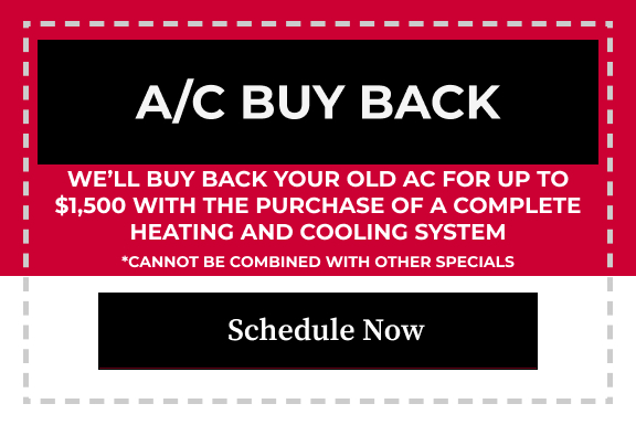 June Specials