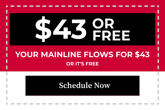 June coupon