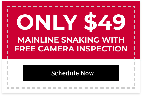  MAINLINE SNAKING WITH FREE CAMERA INSPECTION