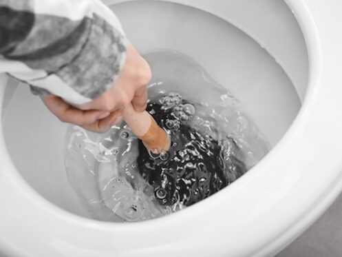 A hand holding a plunger inside of a toilet bowl