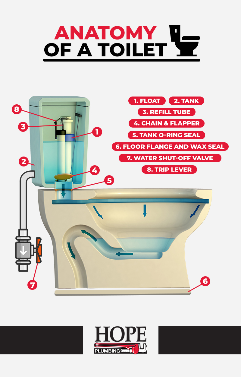 Toilet Anatomy 101: Your Toilet Parts and How They Work